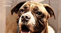 Desktop Screenshot of bulldoggerescues.com